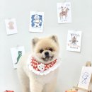 변신하개 네이버블로그