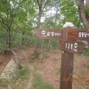 대사리(벌말) Daum카페