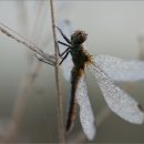 가을에 대한 시 5 이미지