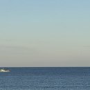 매드복싱 이미지