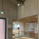 달빛태양광 | [도너츠윤] 남녀노소 건강하고 맛있게 즐기는 겉바속쫀 찹쌀도너츠 명가