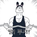 원앤온리피티 이미지