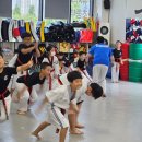 용인대 도담 태권도장 이미지