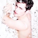 꼬리치는강아지 이미지