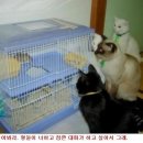 모퉁이우