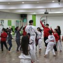 용인대 대동 태권도 이미지