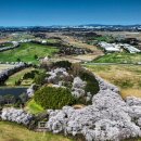 한우목장 이미지