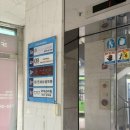 아이스타일 안경콘택트 네이버블로그