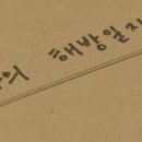 금주 | 4개월간 금주 후기, 술을 끊어 봤어요!