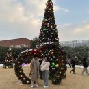 [데이트 #5] 이천여행 시몬스테라스 후기