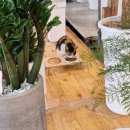 어사랑민물매운탕 이미지