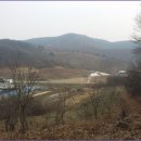 상장1리 이미지