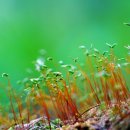 맹자에게 배우는 진심 이미지