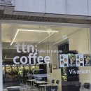 티티케이크