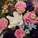 핑크랑보라 이미지