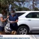 펫드라이브 이미지