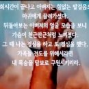 아도나이 이미지