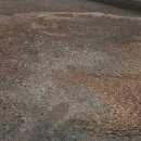 베르크농장 이미지