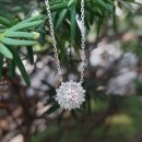 동부교회 맞은편 이미지