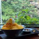 파머스프레빌 | 도룡동카페 유성구카페 대전빙수맛집 파머스프레빌