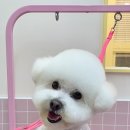 헬로우버디 광교점 이미지