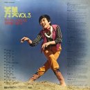 방미 Vol.3 [당신은 나의 꿈이죠] (1981) 이미지