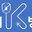 닥터K방역