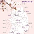 올해도 서울서 &#39;3월 벚꽃&#39;…4월같은 날씨에 개화시기 최대 2주 빨라 이미지