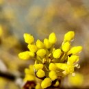 산서초 앞 이미지