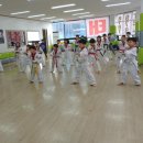 국가대표참태권도장 이미지