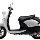 VINO(비노) 이미지