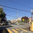 정다움뷰티 | 창원 속눈썹펌 : [정다움뷰티] 후기