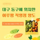 이루팜 - 수성구 달구벌대로 2315 | 이루팜