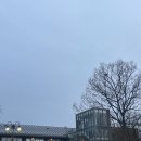 신광산장식당 | 1박2일 예산시장/서천 여행