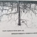 세형농장 이미지