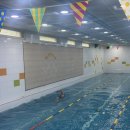 우니즈 | 부산 재송동수영강습 영유아 성인 개인레슨 후기 우선생 스위밍 클럽