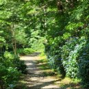 원각만물 이미지