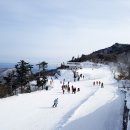 대구옥산초등학교 이미지