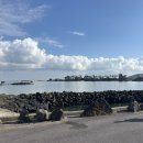 구좌체육공원 | 제21회 2025 제주감귤국제마라톤대회 10km 완주 후기