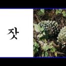 조탄마을영농조합법인 이미지