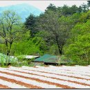 마당두들약수터 이미지