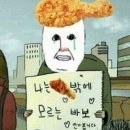 다림위드치킨