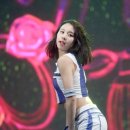 반도장 이미지