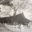 경포중학교 이미지