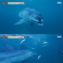 태산농장 이미지