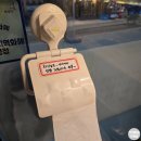 [동탄역 고깃집] 제주백정의 필살기 | 제주 세트(삼겹, 껍항정, 껍가브리 +육회 물회)