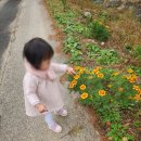 이을 한옥 스테이 이미지