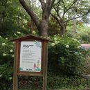 보은산V랜드 이미지