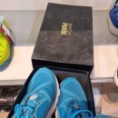 거상애견 이미지