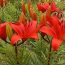 이기대공원(큰고개쉼터) 이미지